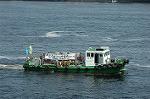 Dcim6338/DSC_3239
