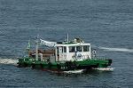 Dcim6338/DSC_3241