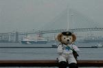 Dcim6340/DSC_3472