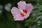 Dcim6342/DSC_3662