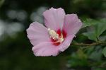 Dcim6342/DSC_3665