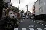 Dcim6352/DSC_7649