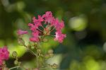Dcim6353/DSC_3841