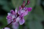 Dcim6354/DSC_3951