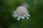 Dcim6366/DSC_4661