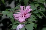 Dcim6367/DSC_4791