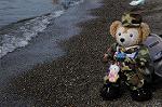 Dcim6371/DSC_8525