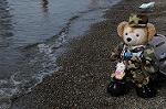 Dcim6371/DSC_8526