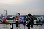 Dcim6371/DSC_8578