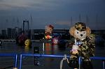 Dcim6371/DSC_8620