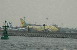Dcim6380/DSC_5332