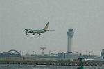 Dcim6381/DSC_5369