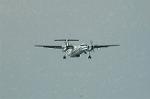 Dcim6381/DSC_5371