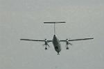 Dcim6381/DSC_5391