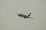 Dcim6381/DSC_5424