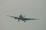 Dcim6382/DSC_5510