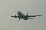 Dcim6382/DSC_5515
