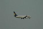 Dcim6382/DSC_5531
