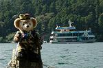 Dcim6417/DSC_7603