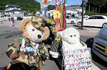 Dcim6418/DSC_0793