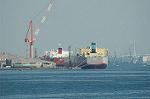 Dcim6435/DSC_8418