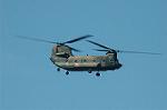 Dcim6435/DSC_8419