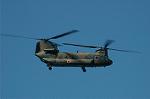 Dcim6435/DSC_8423