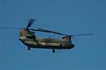 Dcim6435/DSC_8424