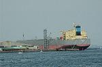 Dcim6436/DSC_8510