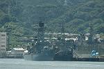 Dcim6436/DSC_8515