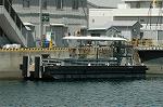 Dcim6436/DSC_8577