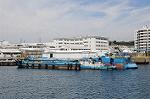 Dcim6441/DSC_2157