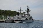 Dcim6442/DSC_2257