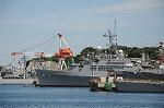 Dcim6442/DSC_2298