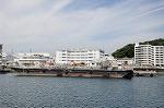 Dcim6442/DSC_2325