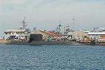 Dcim6443/DSC_3373