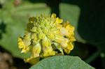 Dcim6445/DSC_8651