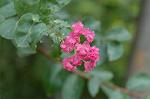 Dcim6447/DSC_8760