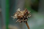 Dcim6448/DSC_8892