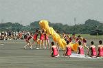 Dcim6467/DSC_9142