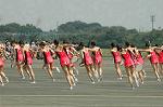 Dcim6467/DSC_9173
