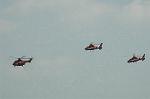 Dcim6468/DSC_9250
