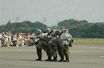 Dcim6468/DSC_9265