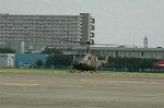 Dcim6469/DSC_9508