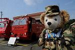 Dcim6471/DSC_4421