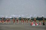 Dcim6472/DSC_4470