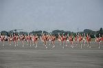 Dcim6472/DSC_4504