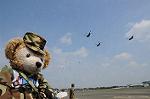Dcim6472/DSC_4509