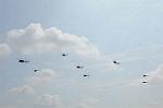 Dcim6472/DSC_4516