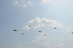 Dcim6472/DSC_4517